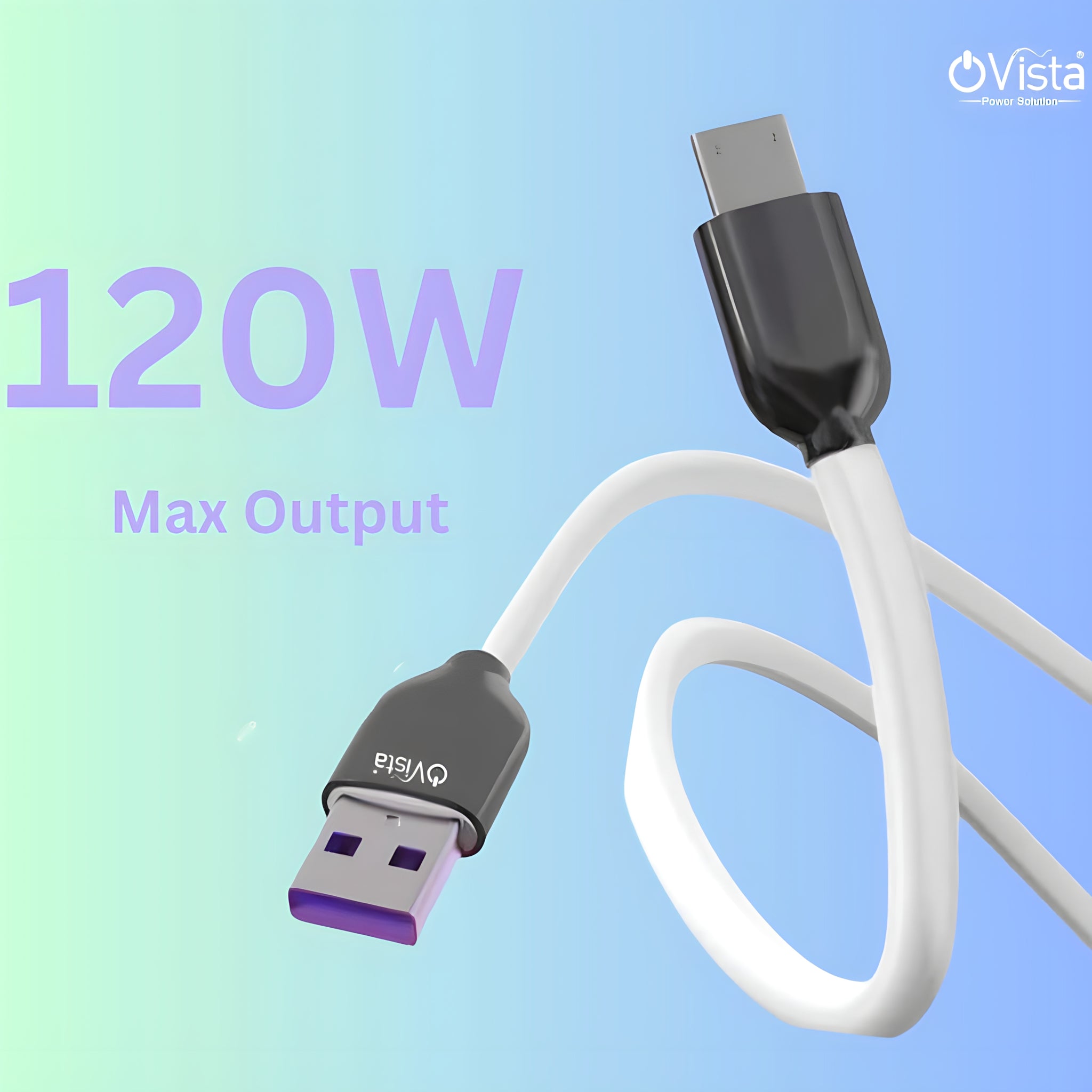 ovista USB Type-C Turbo Data Cable, 120W Fast Charging, High-Speed Data Transfer, Durable, High Strength 1M  (ovdm011)