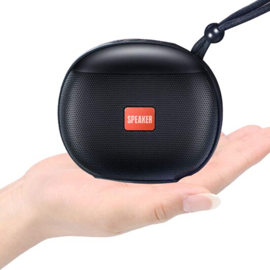 Wireless Portable Speaker