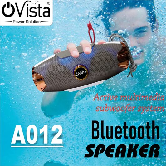 Ovista A012 Portable Bluetooth Speaker with FM Radio, Memory Card Slot, USB Pen Drive Slot, AUX Input Model. (Multicolor, A012)